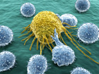 linfociti attaccano cellula tumorale