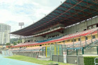 Stadio San Vito