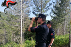 Carabinieri forestali