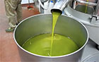 Frantoio olio di oliva