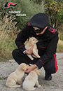 Carabinieri salvano cuccioli